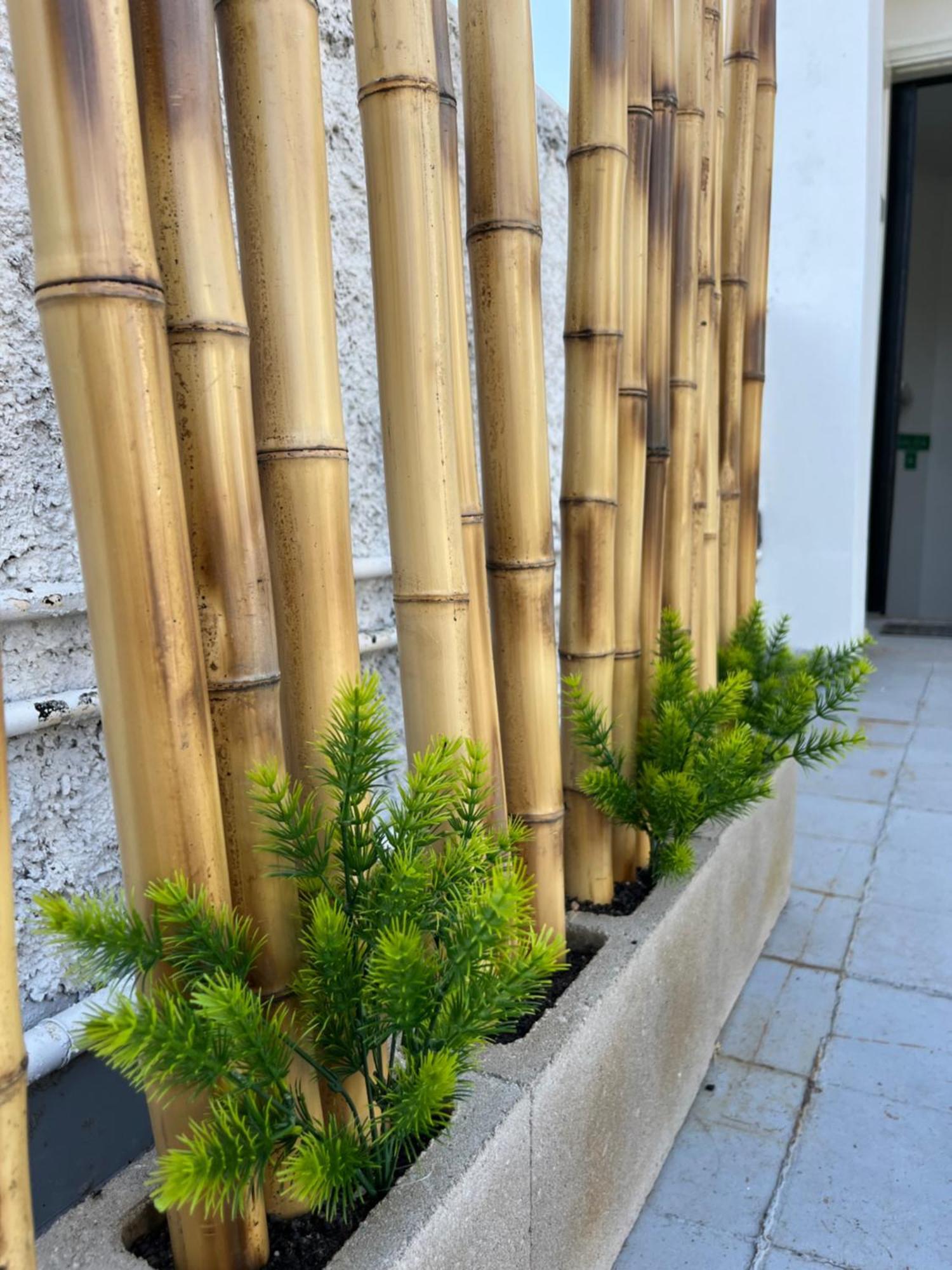 Ferienwohnung Terrazas De Rondeau Mendoza Exterior foto